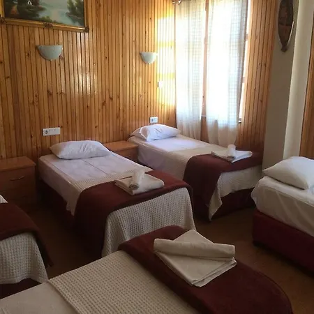 Sezgin's