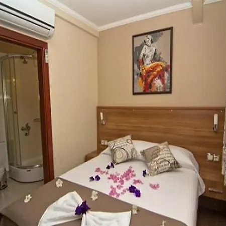 Sezgin's Guest house *