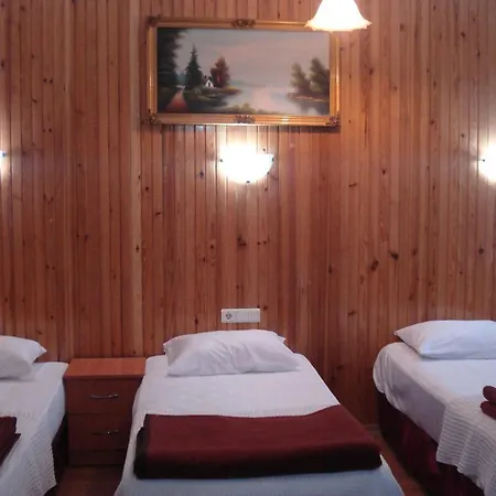 Sezgin's Guest house *