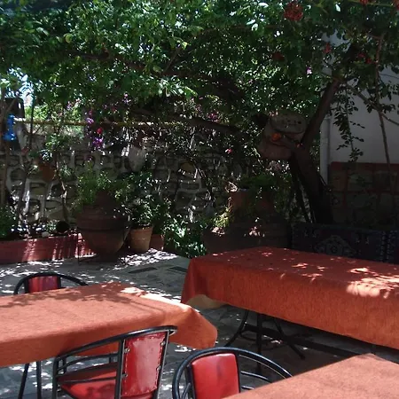 Sezgin's * Kusadasi