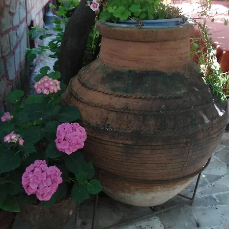 Sezgin's Guest house
