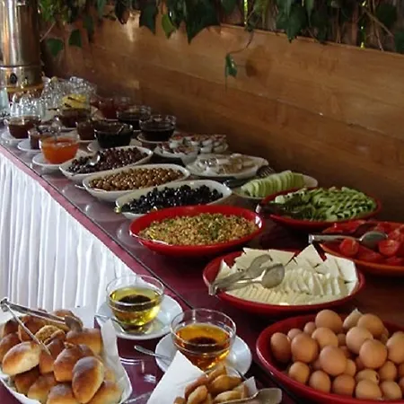 Sezgin's *