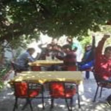 Sezgin's