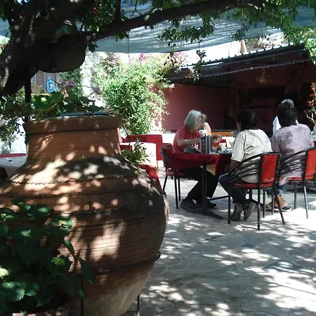 Sezgin's *
