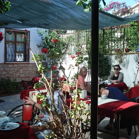 Sezgin's